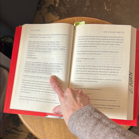 Hardcover Book by Rob Bell entitled, “Love Wins”—Significant Use - Picture 11 of 16